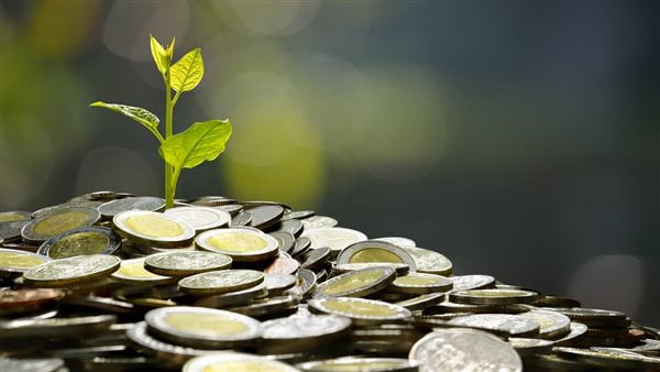 كيفية حساب زكاة المال على الوديعة البنكية.. جبنالك رأي المفتي