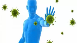 أفضل 5 أطعمة لتقوية المناعة ومحاربة البرد في فصل الشتاء