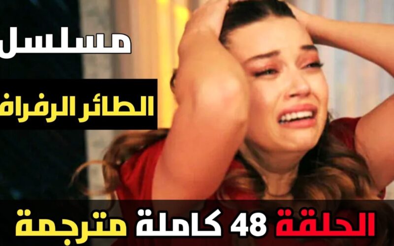 موعد مسلسل الطائر الرفراف الحلقة 48 مُترجمة للعربية