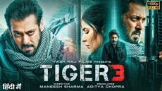 مشاهدة فيلم تايجر Tiger 3 كامل مترجم ايجي بست ماي سيما