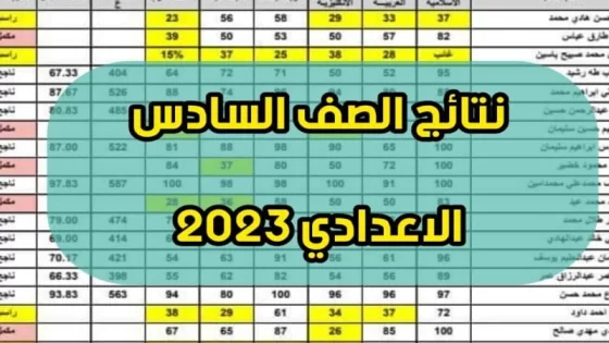ظهرت الآن نتائج السادس إعدادي الدوري الثالث الرصافة وبغداد وجميع المحافظات العراقية 2023